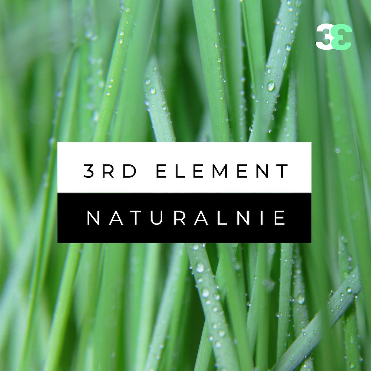 Witamina D3 w kroplach – 10 ml / 320 kropli – wegańska formuła, wspiera odporność, zdrowe kości i mięśnie