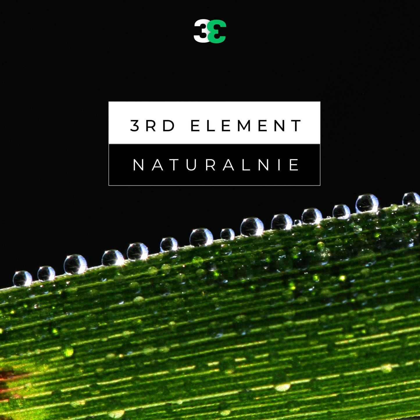 Vitamin D3 Drops – Natural Support for Immunity, Bones and Muscles