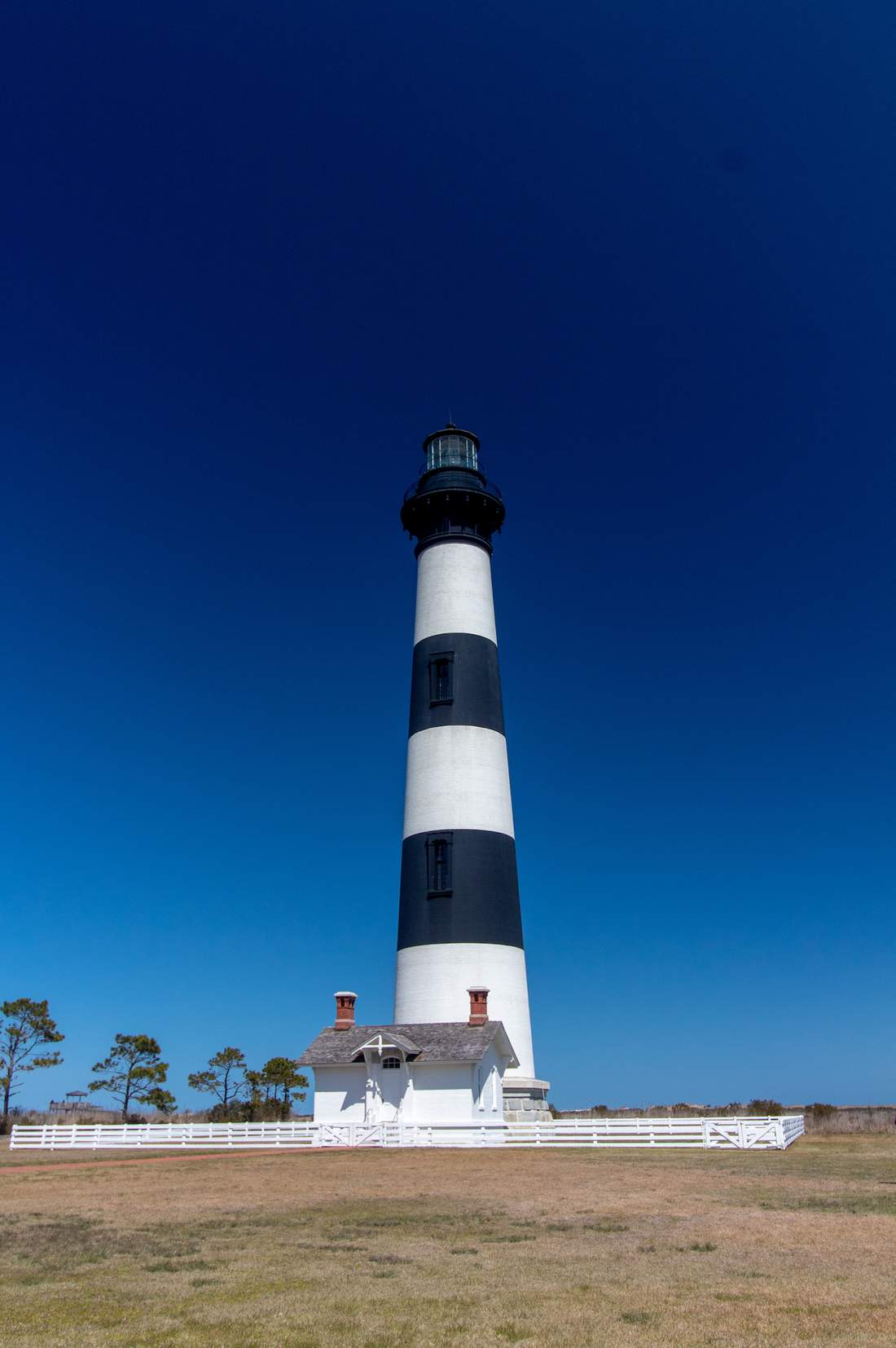 The 3rd Element: A New Perspective on Wellness and Natural Supplements