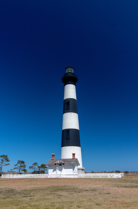 The 3rd Element: A New Perspective on Wellness and Natural Supplements