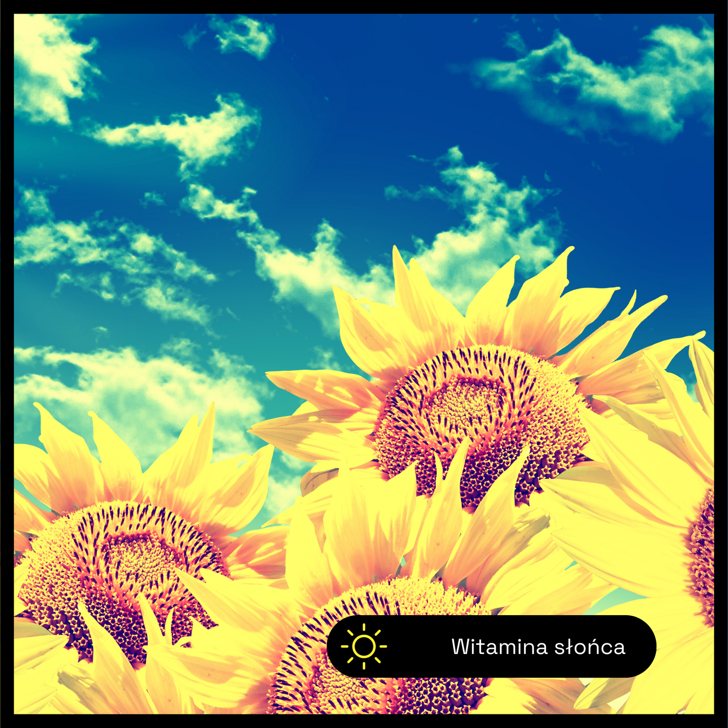 Vitamin D3 + K2 Drops – Natural Synergy for Strong Bones, Heart and Immunity